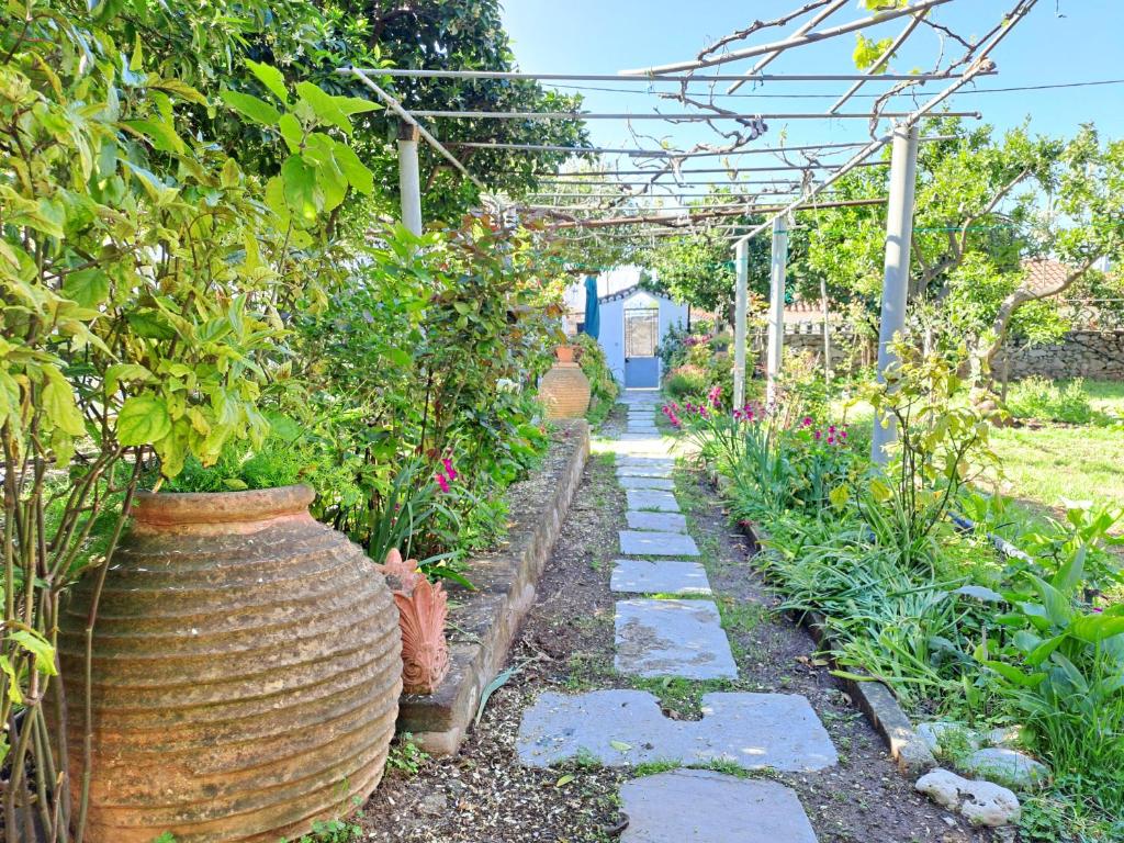 LímniにあるCoastal Garden Houseのギャラリーの写真