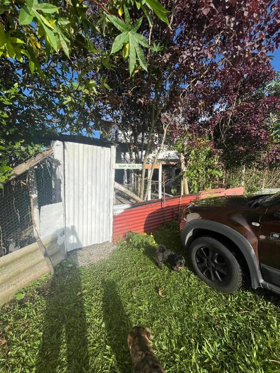 Zahrada ubytování Alojamiento Frente al Parque del Café