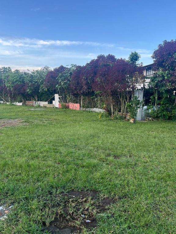 Zahrada ubytování Alojamiento Frente al Parque del Café