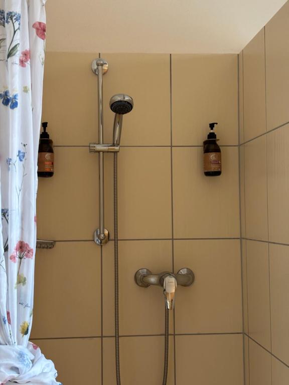 Lichtenštejnské domky - 8