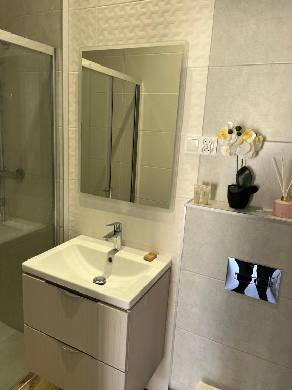 Apartamenty przy Muzeum - Habitación Doble O Twin