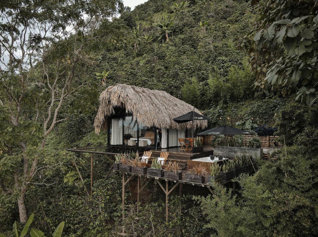 a resort with chairs and umbrellas on a deck at La Cima Eco Hotel in Buenavista