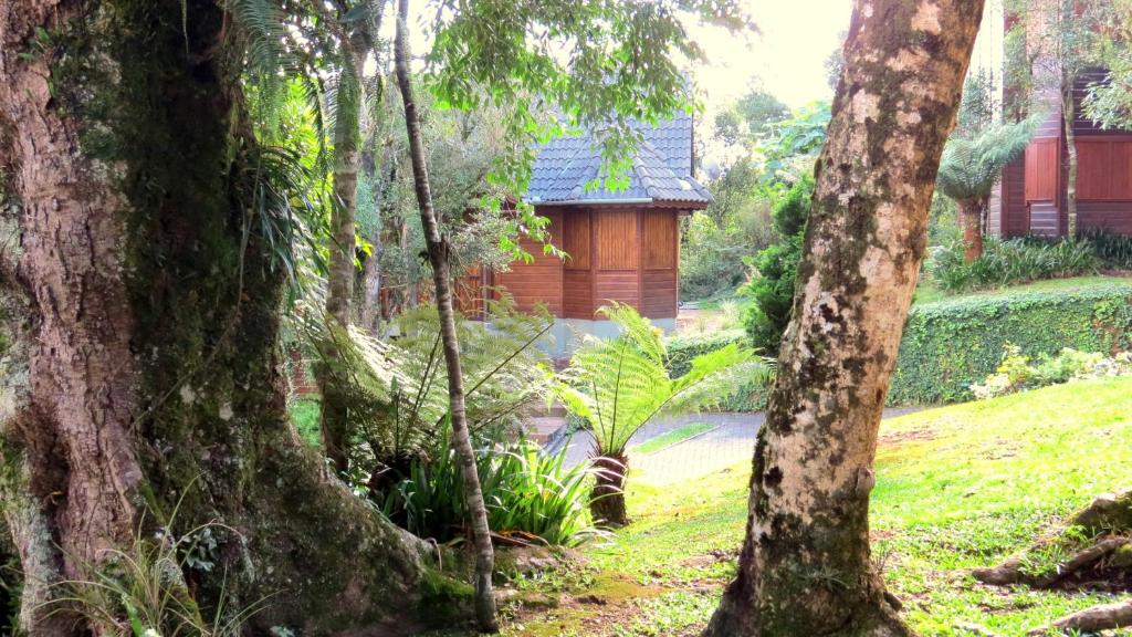  Pousada Floresta Negra