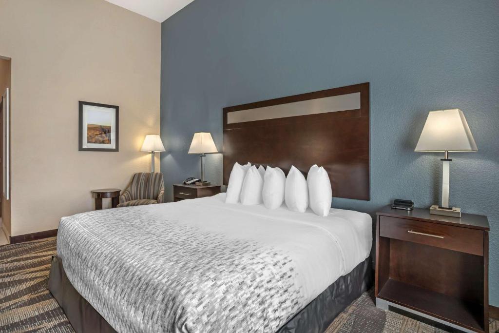 Best Western Plus Lake Jackson Inn & Suites - Habitación Con Cama Extragrande - No Fumadores