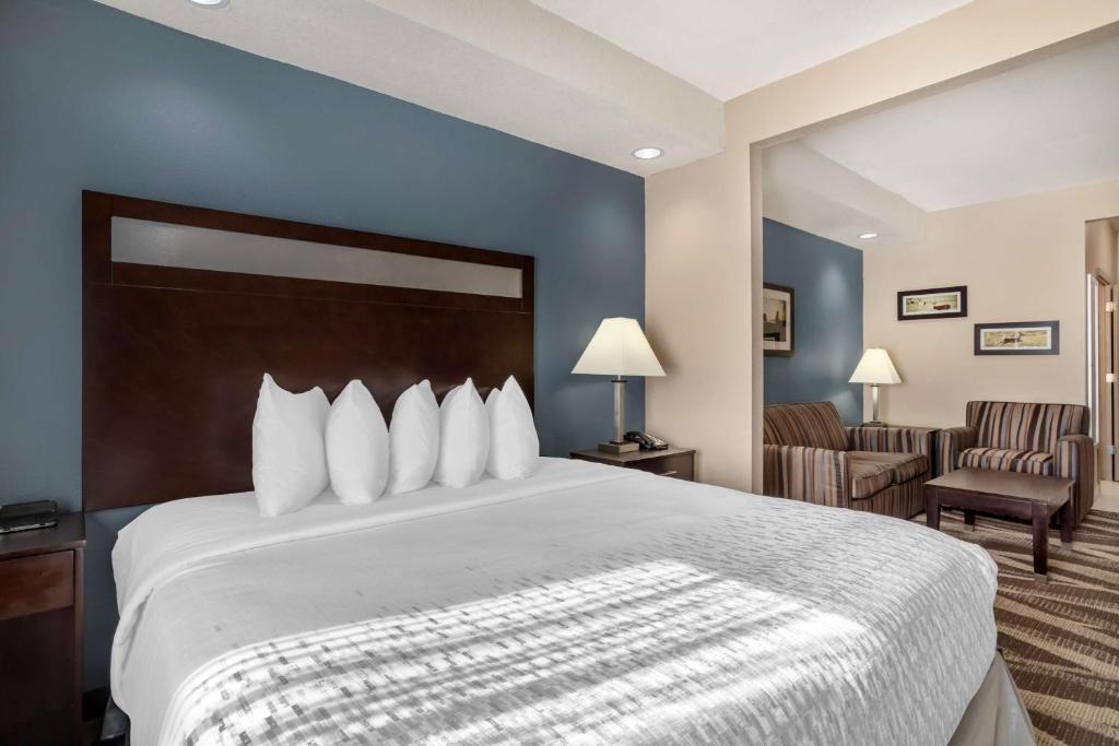 Best Western Plus Lake Jackson Inn & Suites - Suite King Con Divano Letto - Non Fumatori