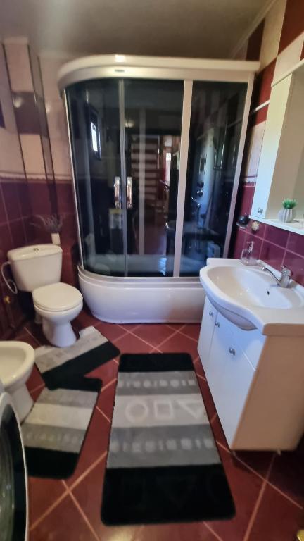 a bathroom with two toilets and a sink at Casa Georgeta in Câmpulung Moldovenesc