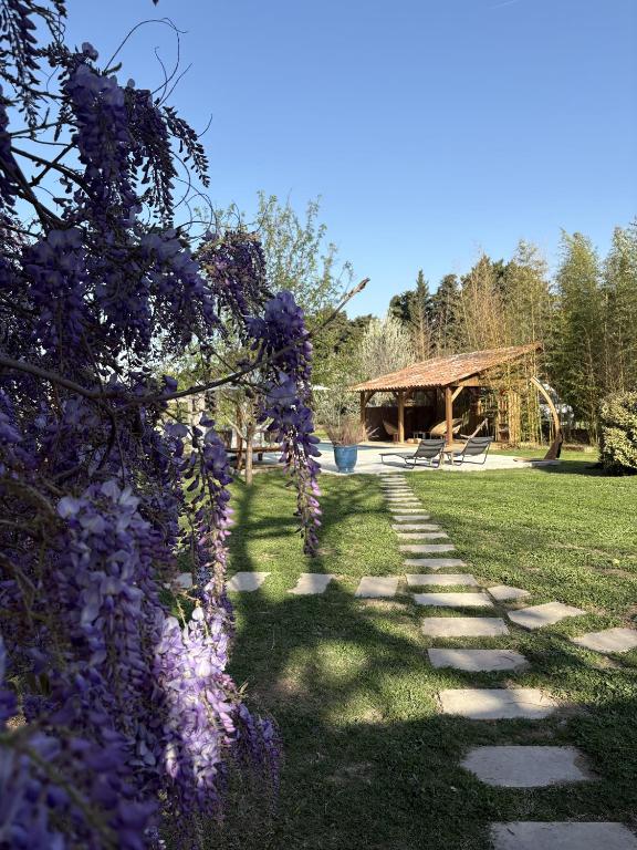 un jardín con un camino con flores púrpuras y un pabellón en Mas d'Auseu, en Cavaillon