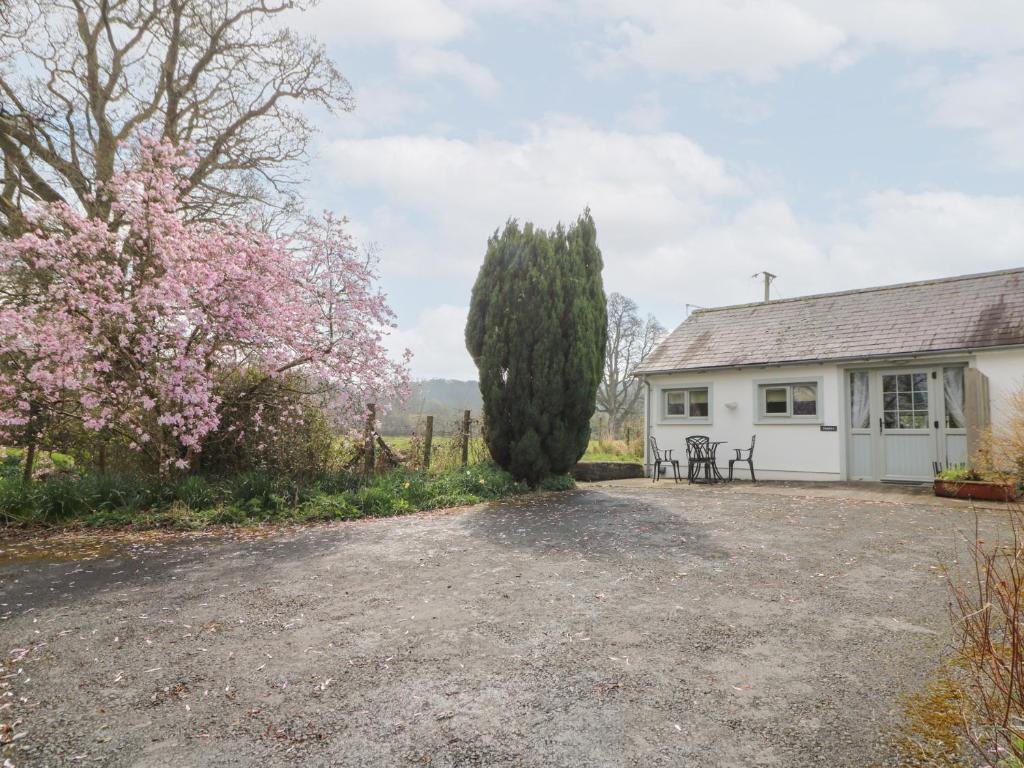 a cottage with a tree and a gravel driveway at Dinefwr Cottage in Carmarthen