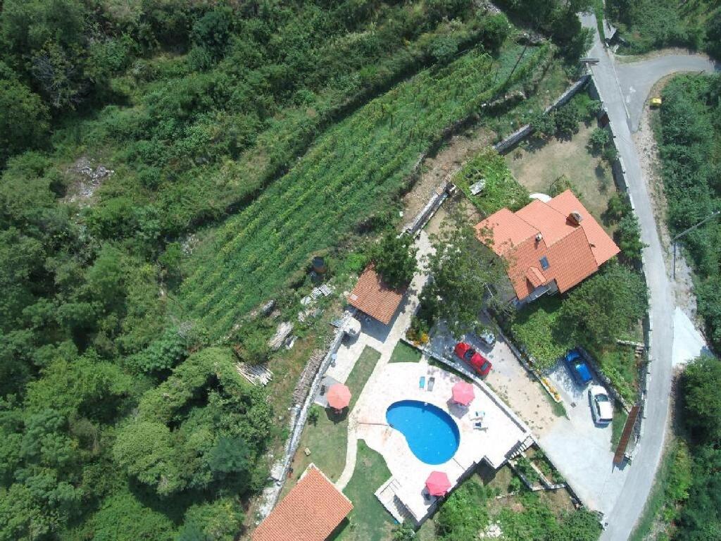 an aerial view of a house with a swimming pool at Apartments Pegaz in Virpazar