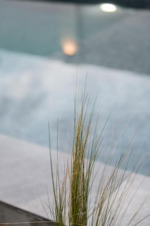 The swimming pool at or close to Villa Sunset Albatross