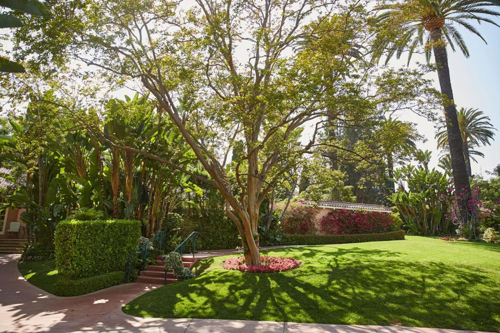 The Beverly Hills Hotel - Dorchester Collection photo