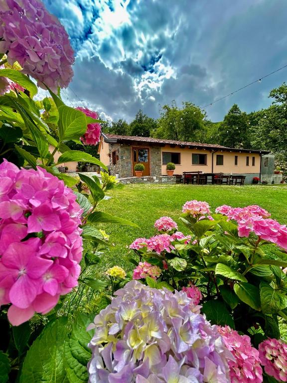 Zahrada ubytování Agriturismo Acqua Bianca