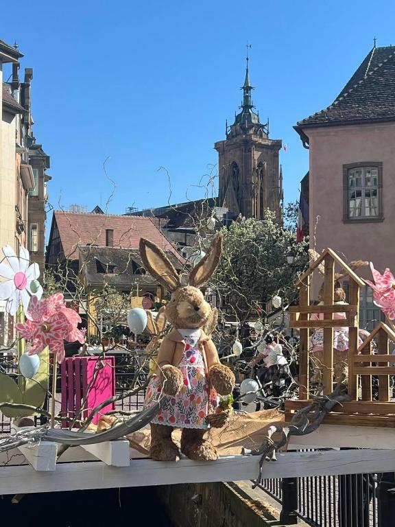 Centre de Colmar Zum Harzala – photo 24