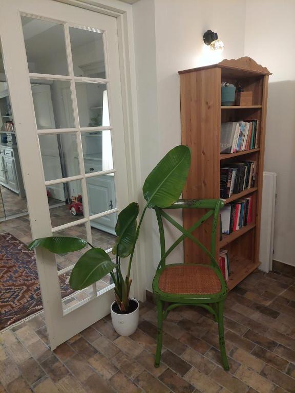 Knihovna v apartmánu