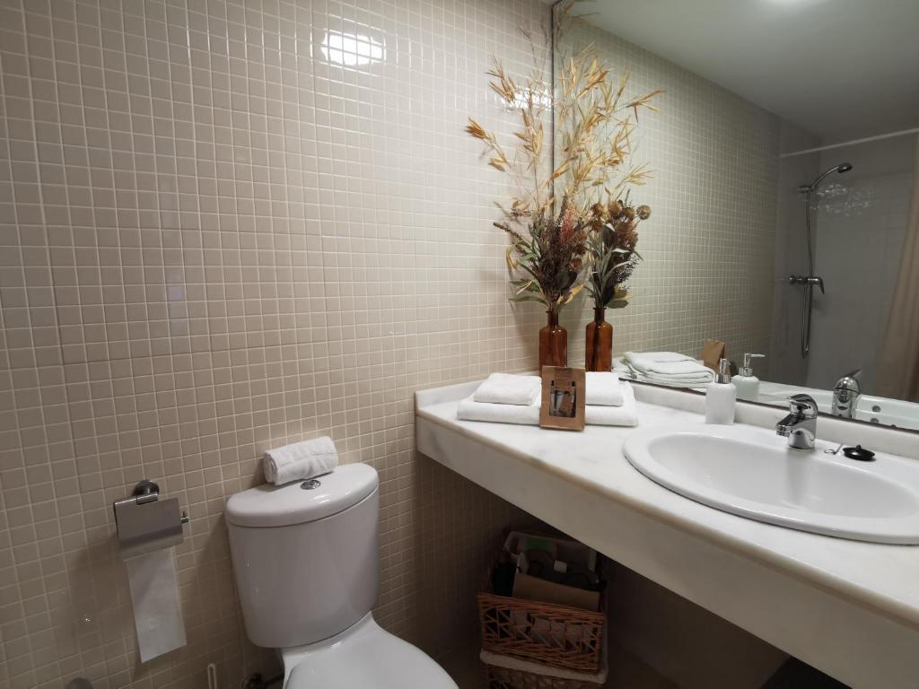 une salle de bain avec un lavabo, des toilettes et un miroir dans l'établissement ESTUDIO en PRIMERA LINEA PLAYA, à San Juan de Alicante
