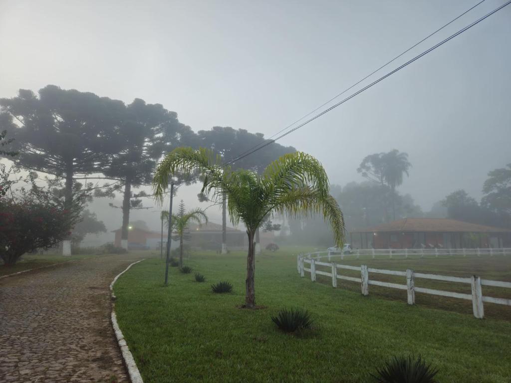 Pousada da Elizângela de Amarantina photo