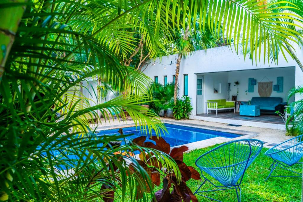 a backyard with a pool and palm trees at Casa Borush by Ecoplaneta in Cancún