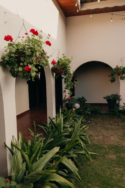 Zahrada ubytování Hotel Boutique Rebequet