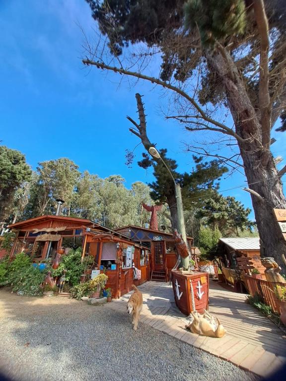 Zahrada ubytování Suite con DESAYUNO SOLO PARA DOS Ó Cabañas familiares Los PINARES DEL MAR -Pet friendly