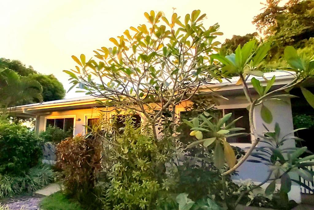 Zahrada ubytování Ocean Breeze Guest House