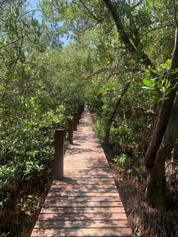 Zahrada ubytování Casa Borush Tulum Glamping Fruit & Cenote Experience