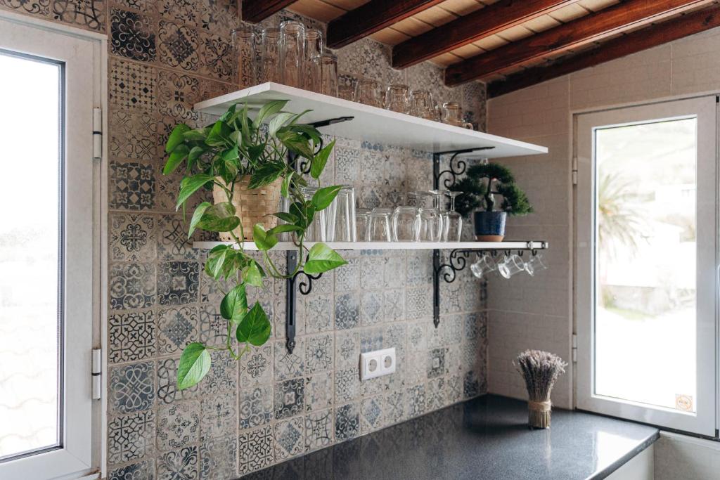 Una cocina con un montón de plantas en la pared. en Oceanview Sunset Retreat, en Pilar