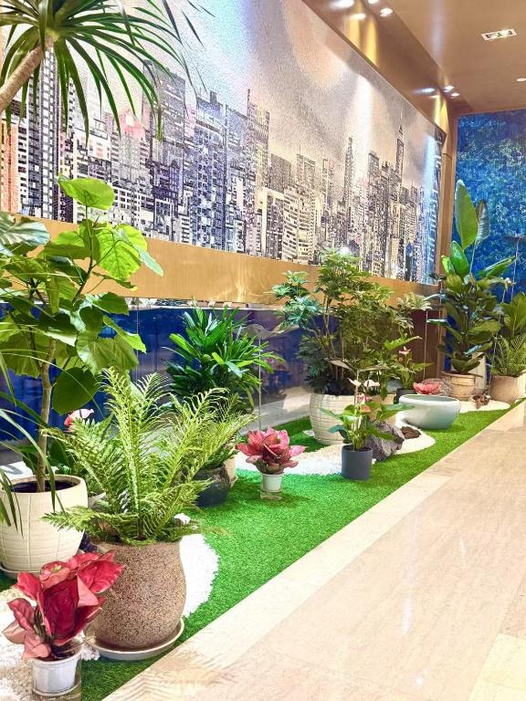 Fotografie z fotogalerie ubytování Holiday Inn Express Shanghai New Jinqiao by IHG v Šanghaji