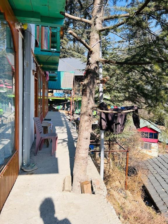 Galería fotográfica de Tree House en Jibhi