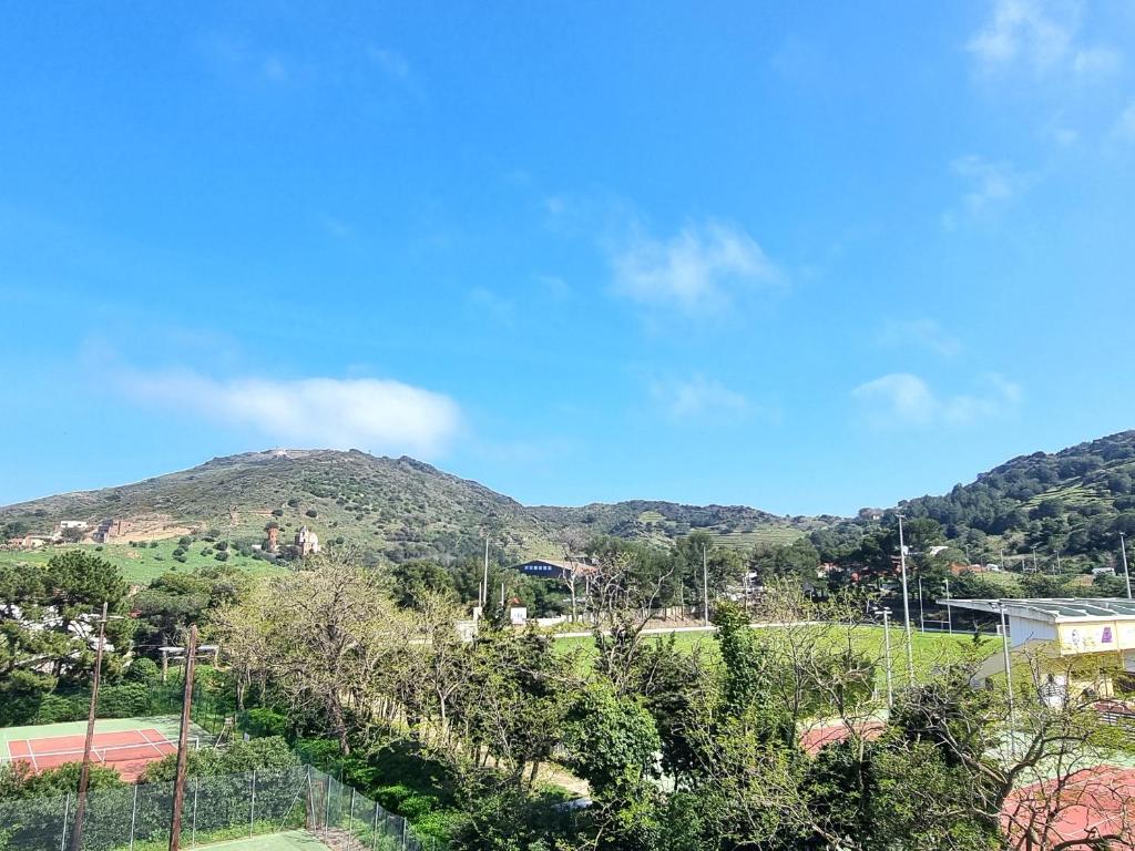 auliculiculiculiculiculiculiculiculiculiculiculiculiculiculic dans l'établissement Port-Vendres : T2 calme avec parking, grande terrasse ensoleillée et proche du port - FR-1-309-215, à Port-Vendres