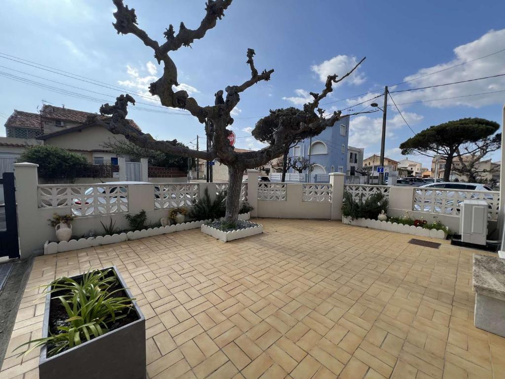un arbre dans une cour avec une clôture blanche dans l'établissement Maison plain-pied climatisée, 3 chambres, proche plage - FR-1-701-89, à Valras-Plage