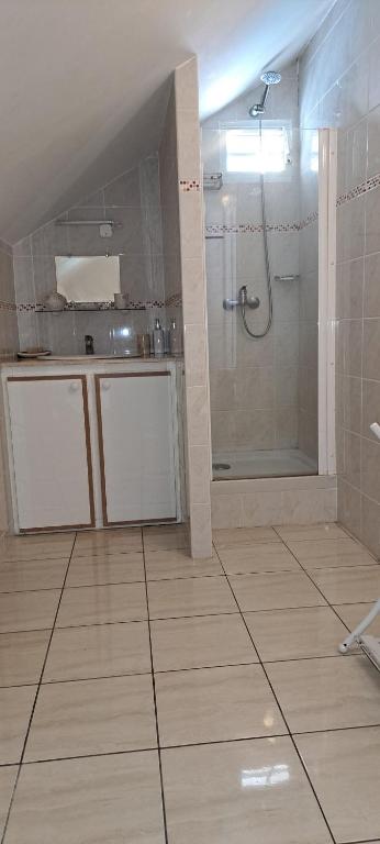 Koupelna v ubytování Logement spacieux deux pièces à Baie Mahault