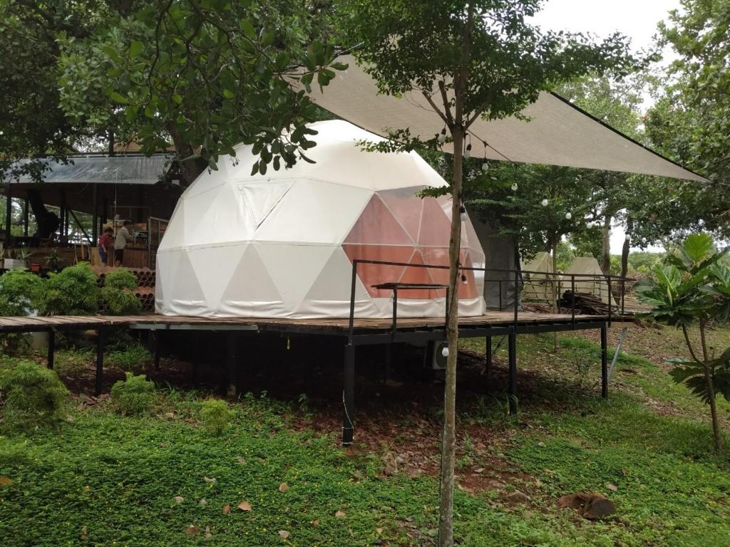 Tropical eglamping - Habitación Familiar Con Vista Al Jardín