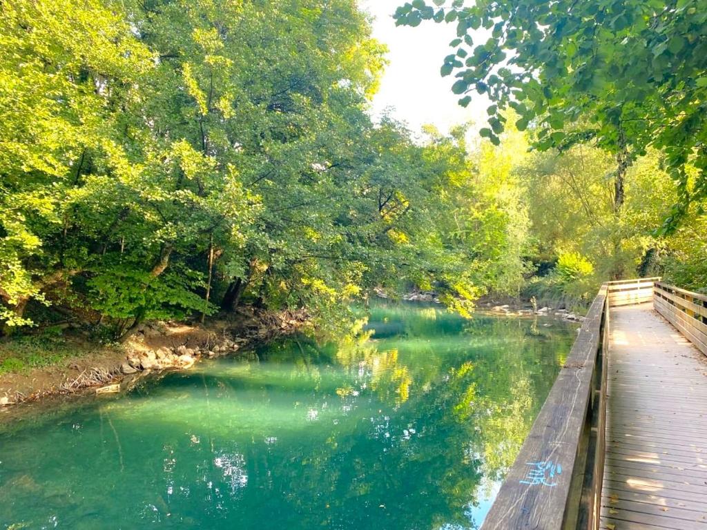 une rivière avec des arbres et un pont en bois dans l'établissement Le Pont Neuf, à Annecy