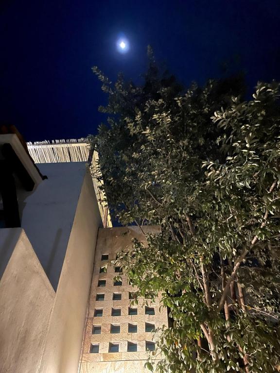 a night view of a building with a tree at Casa Colibri Oaxaca con Jacuzzi en Terraza in Santa María Azompa