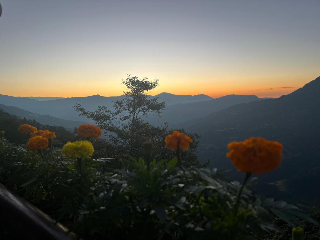 Paesaggio naturale nelle vicinanze della stanza in casa privata