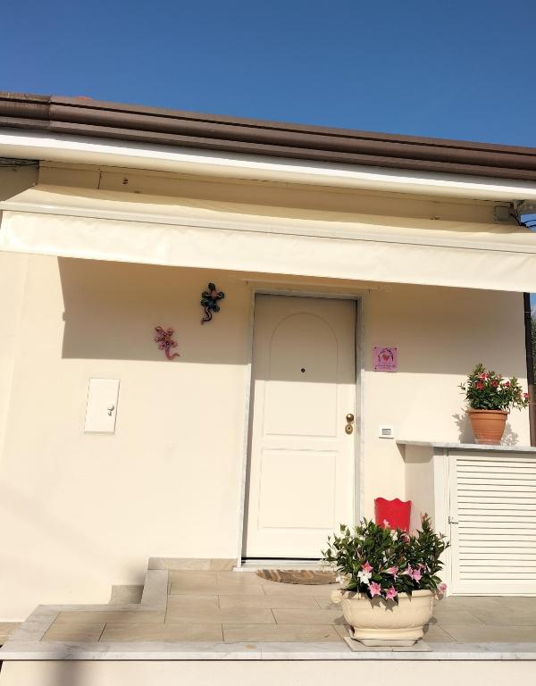a white building with two potted plants and a door at La Casina di Nonna Altea in Massa