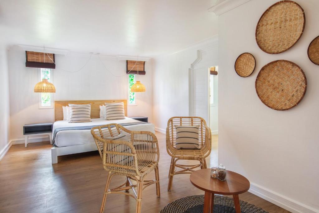 Ambre - Adults only - 5