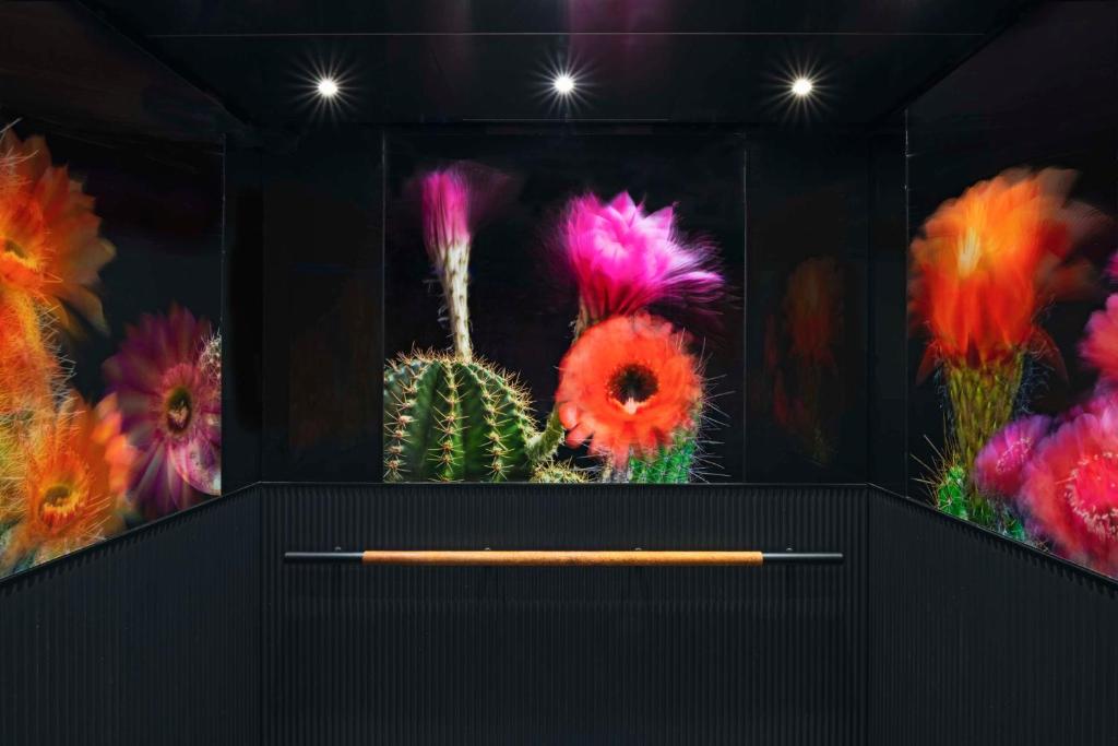 Fotografie z fotogalerie ubytování Tommie Austin, JDV by Hyatt v destinaci Austin