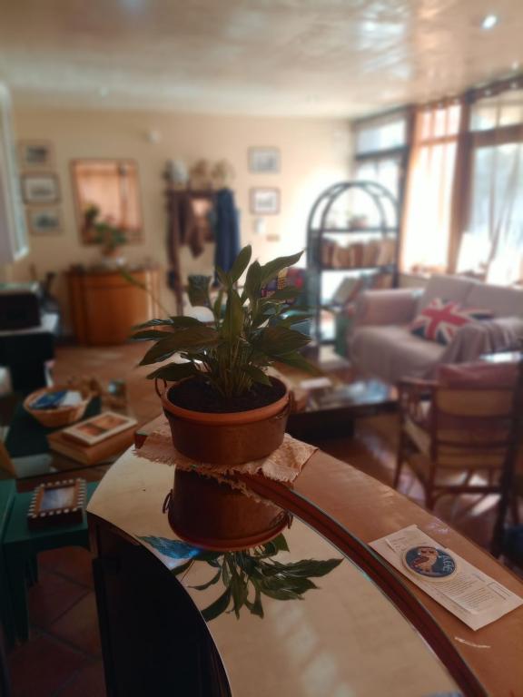 Posezení v ubytování Casa di Luca