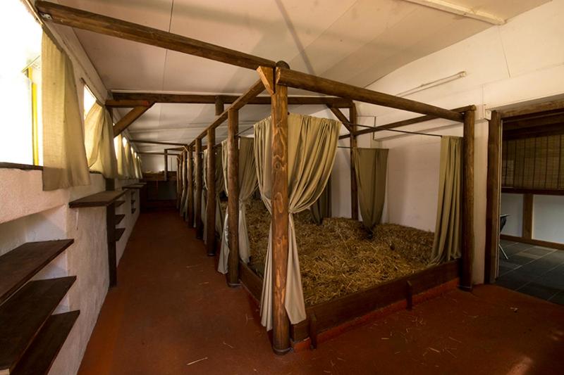 um quarto com uma fila de camas num edifício em Agriturismo La Finca em Cresciano
