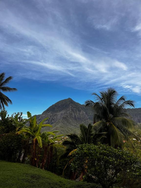 TIKI LODGE Hiva oa, Atuona - photo 11 - Hiva Oa, Polynésie