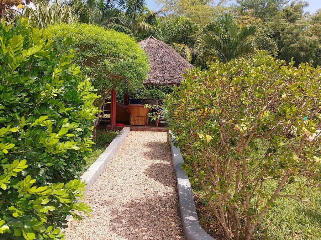 a garden with a path leading to a house at One Bed with AC, Gazebo and Pool in Diani in Ukunda Airport