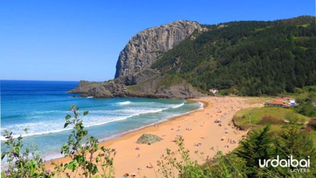 Příroda nedaleko chaty