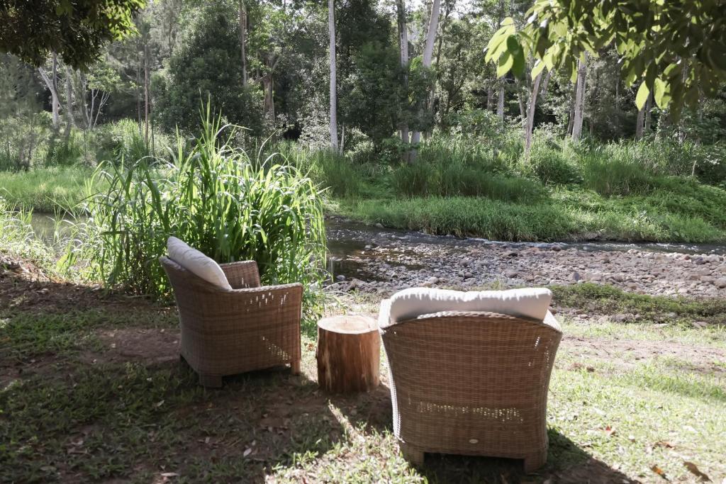 Zahrada ubytování RESET Tallebudgera Valley