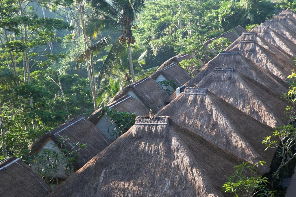 un groupe de toits avec des arbres en arrière-plan dans l'établissement Tejaprana Resort & Spa, à Ubud