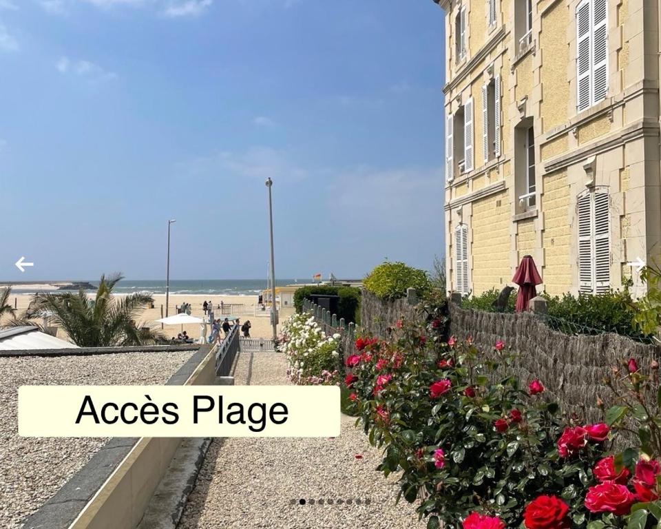 Naturlandskabet i nærheden af lejligheden