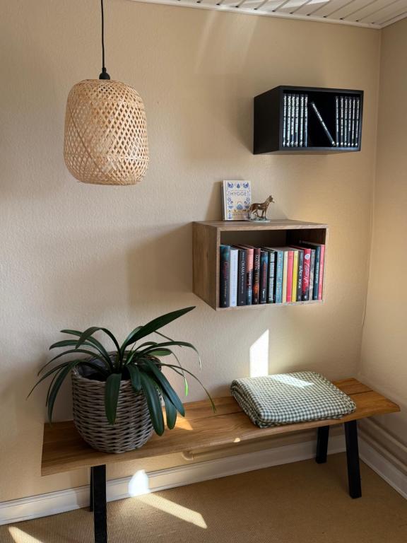 Biblioteca nel bed & breakfast
