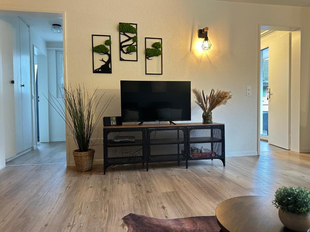 Televiisor ja/või meelelahutuskeskus majutusasutuses Zentrales 2,5-Zimmer Apartment mit mega Bergblick