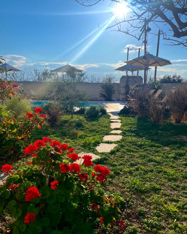Zahrada ubytování Aoni Suites