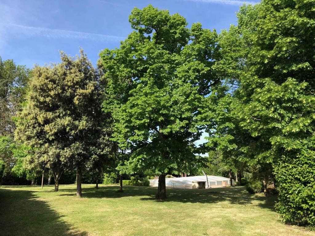 un groupe d'arbres dans un champ avec une tente dans l'établissement Périgourdine avec piscine, nature & bastides, à Faux
